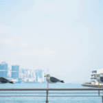 尖沙咀拍拖